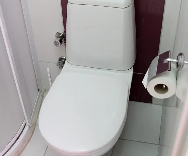 Отель Fethiye Pension *